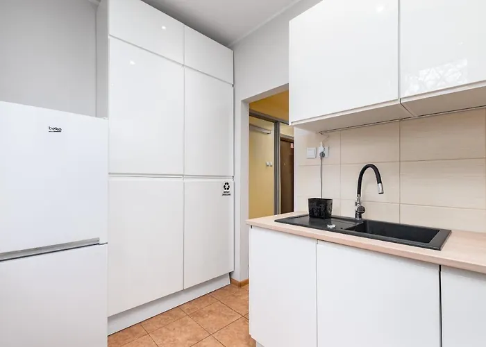 Dabrowszczakow 6 Apartment Warsaw